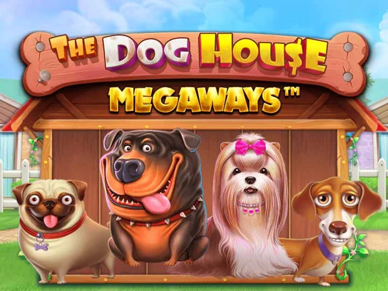 The Dog House - Hiện Thực Hóa GIấc Mơ Đổi Đời Với Game Slot